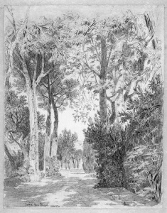 Dibuix - Jardins de “Casa Buïgas”