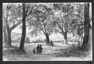 Dibuix - Paisatge de La Garriga -